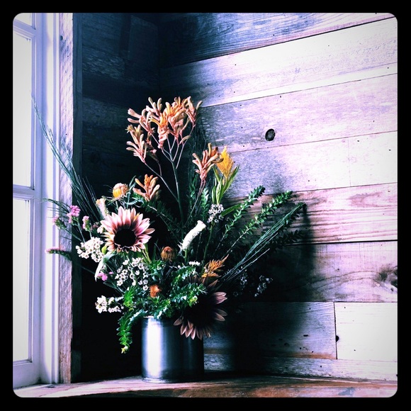 ALEXA ROSE - Picture 1 of 1